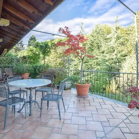 Azalea * 斯特雷萨