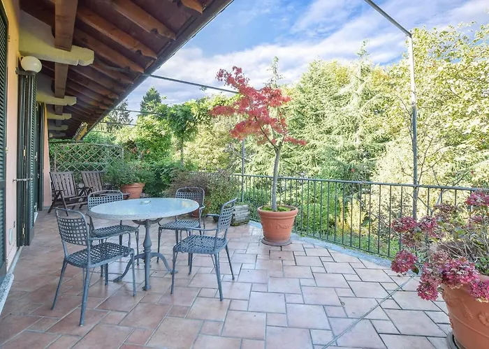 Azalea * 斯特雷萨